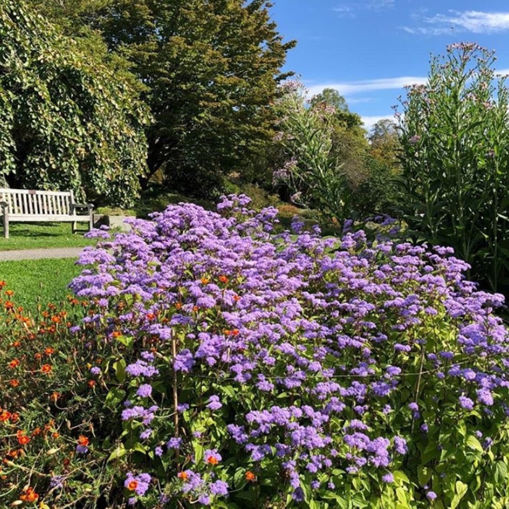 Meet your Posher, Megha